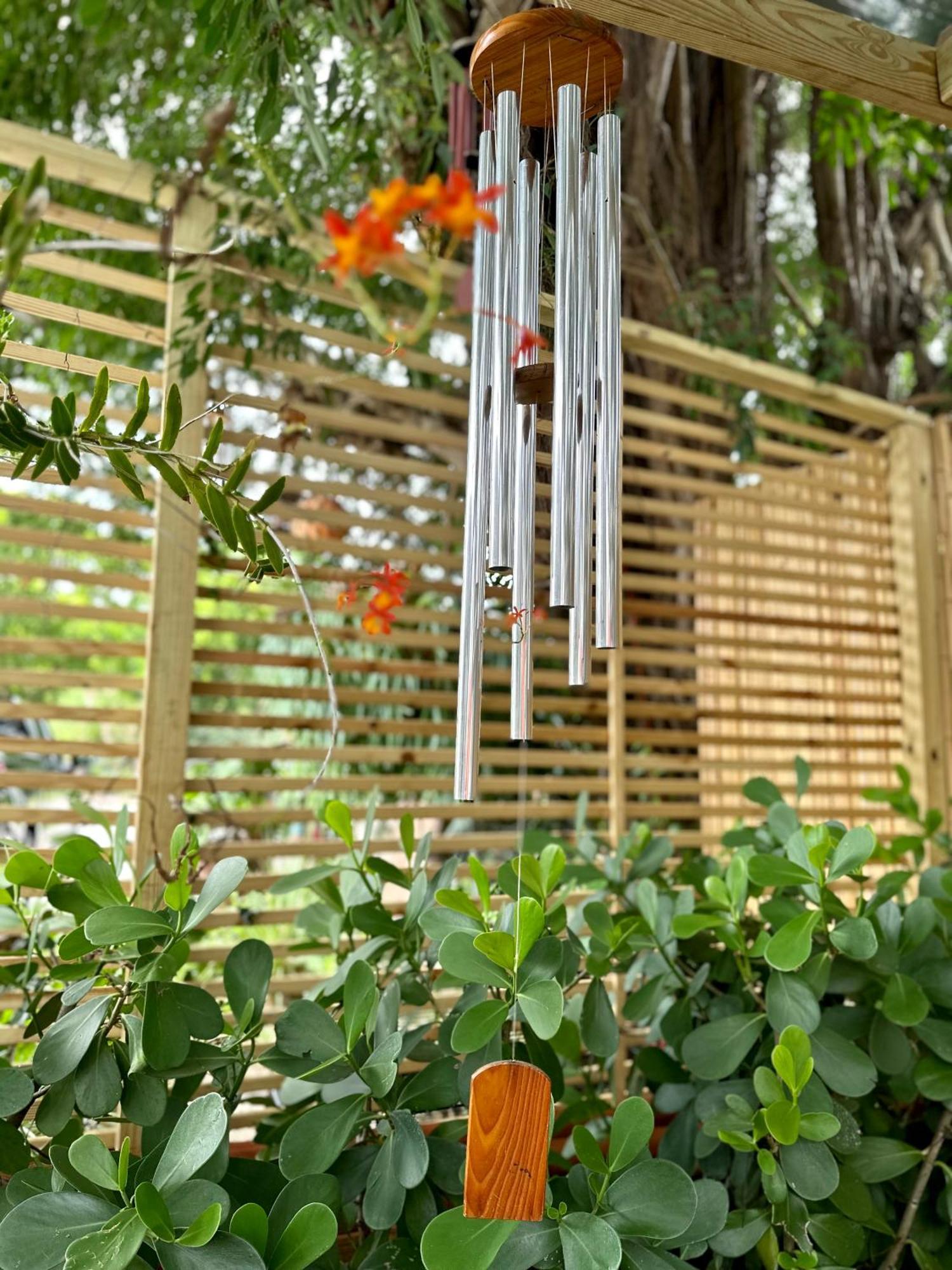 Flora'S Garden Apartment/Studio North Miami Kültér fotó